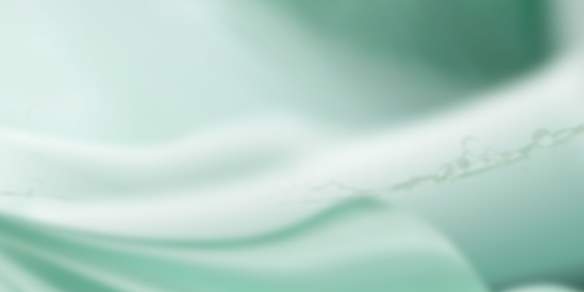 山東泰安東岳泰山衡器有限公司